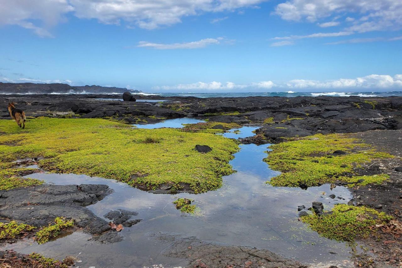 The Aloha Green House Retreat With Ocean Views! Naalehu Extérieur photo