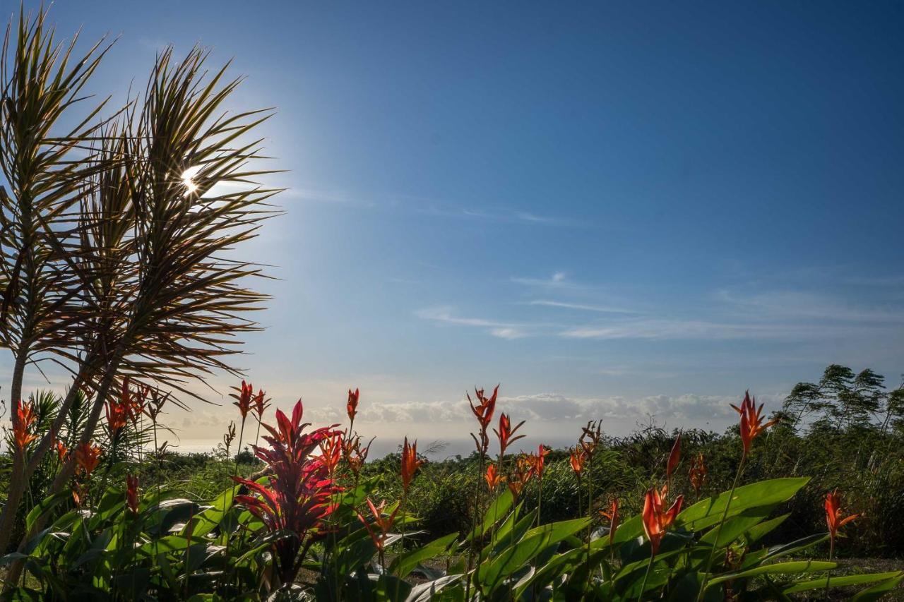 The Aloha Green House Retreat With Ocean Views! Naalehu Extérieur photo
